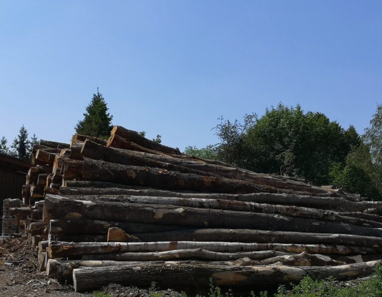 Camion de 20 stères, Hêtre Chêne Charme en grume